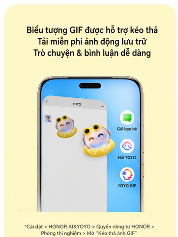 HONOR VI 1