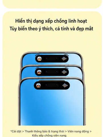HONOR VI 4