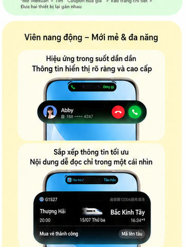 HONOR VI 5